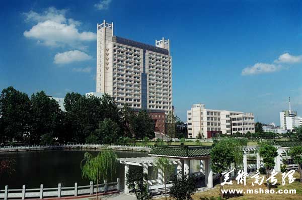 武汉理工大学2023年高水平运动队招生简章