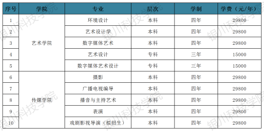 银川科技学院2024年艺术类专业招生简章